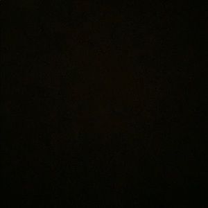 Meet your Posher, Bo